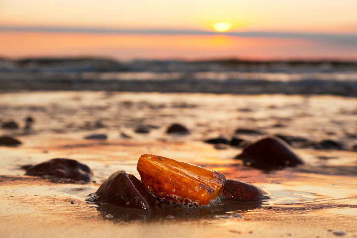 Understanding Baltic Amber: Meaning, Properties, Benefits, and Care