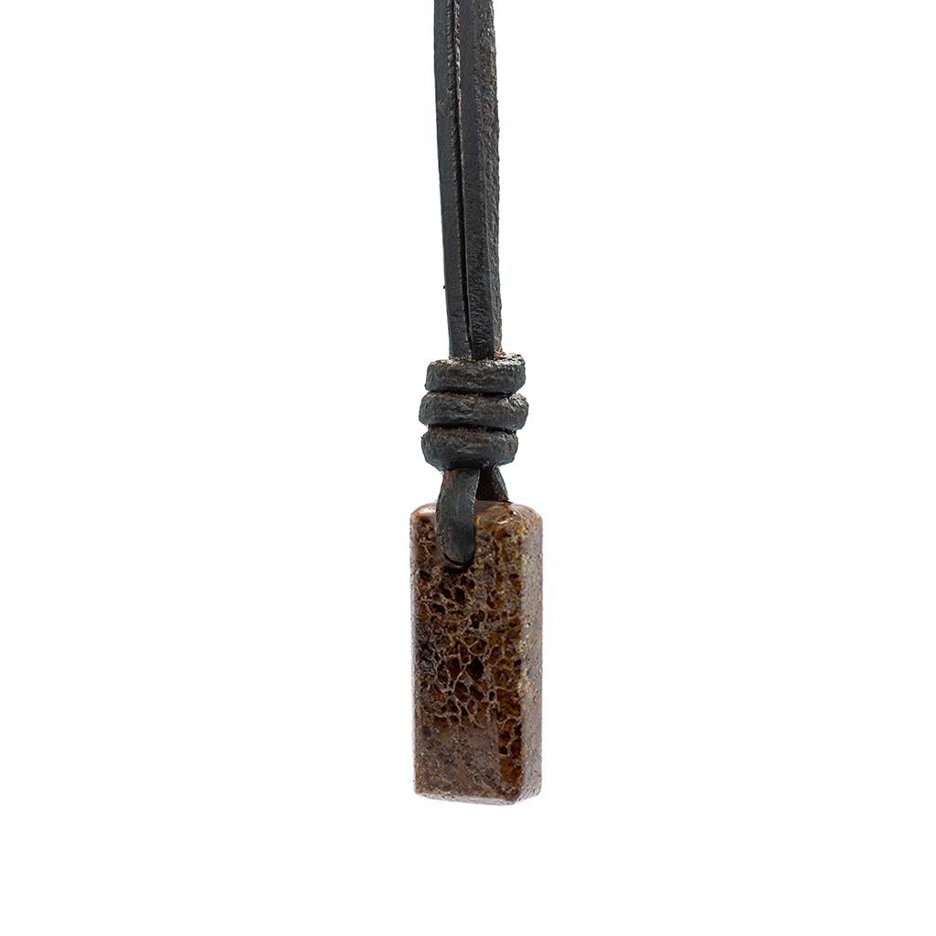 Amulet Necklace - Brown Dinosaur Gembone With Leather Or Recycled Sterling Silver Chain